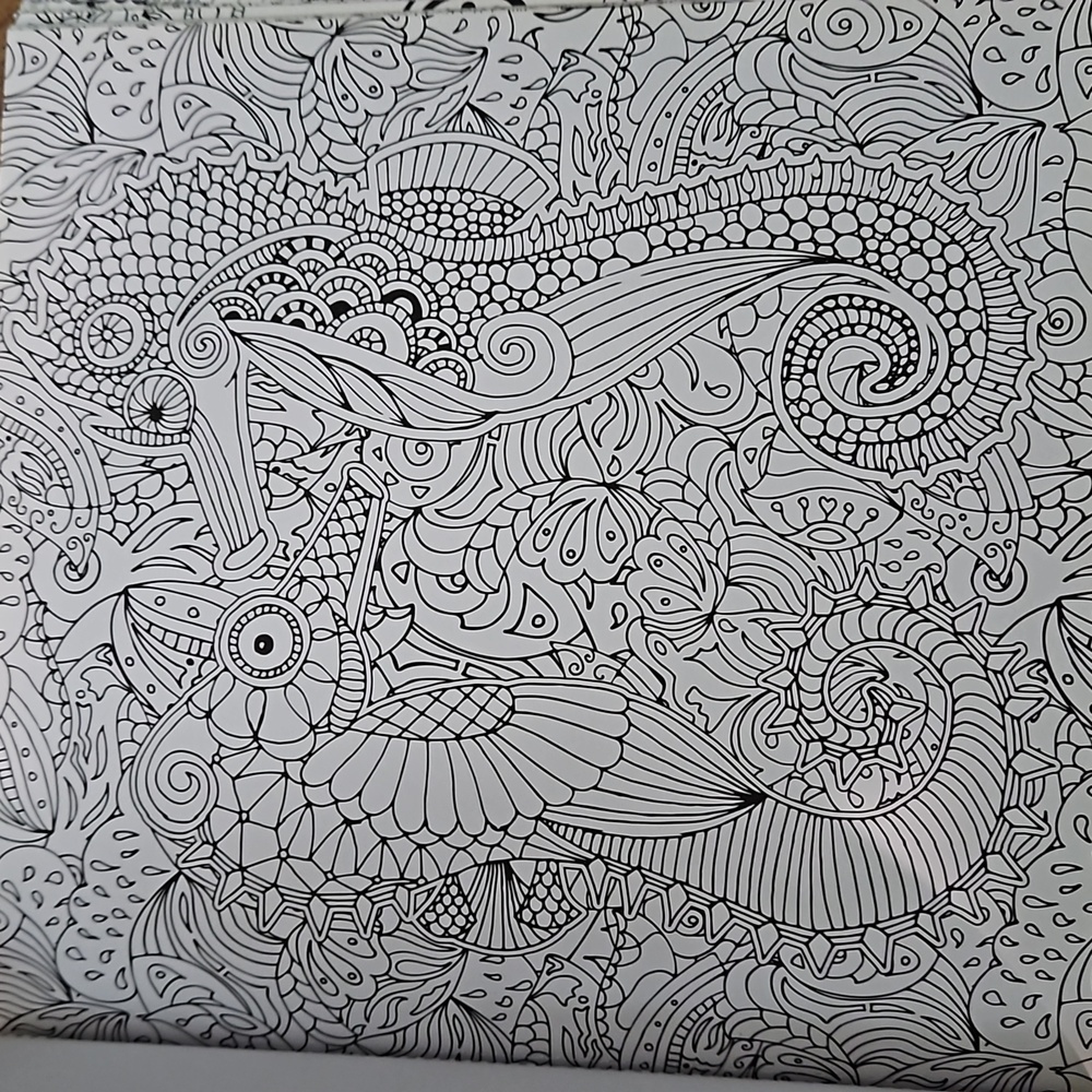 Coloring Book - Picture 4 of 16